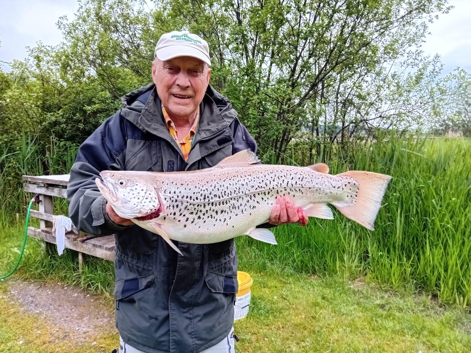Fischen am Weissensee Seeforelle 71 cm