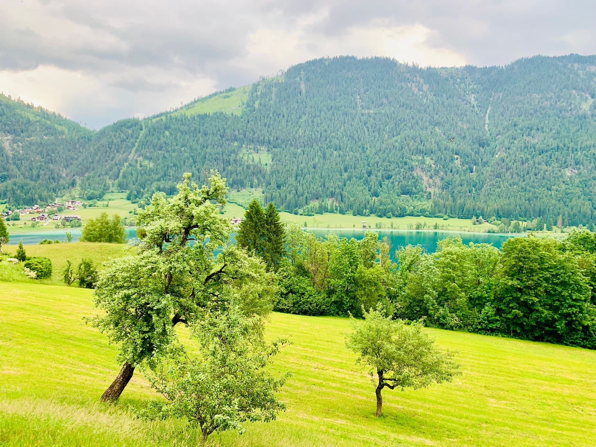 Seeblick bei Regenwetter Ferienhof Hoffmann Weissensee