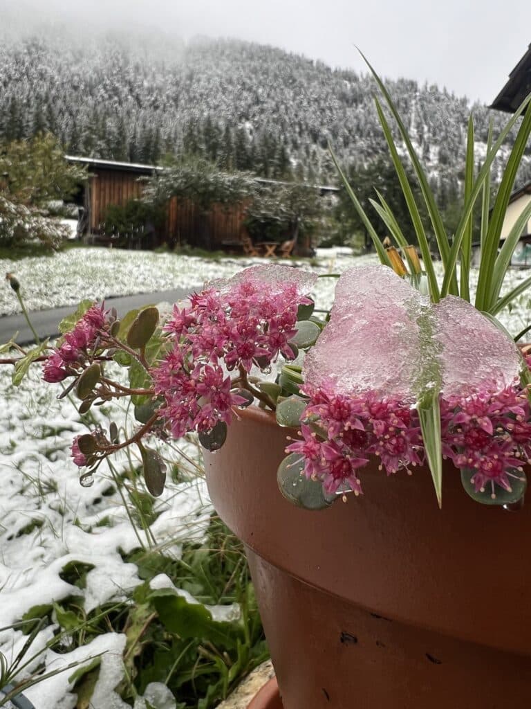 Vielen Dank für diesen tollen Sommer