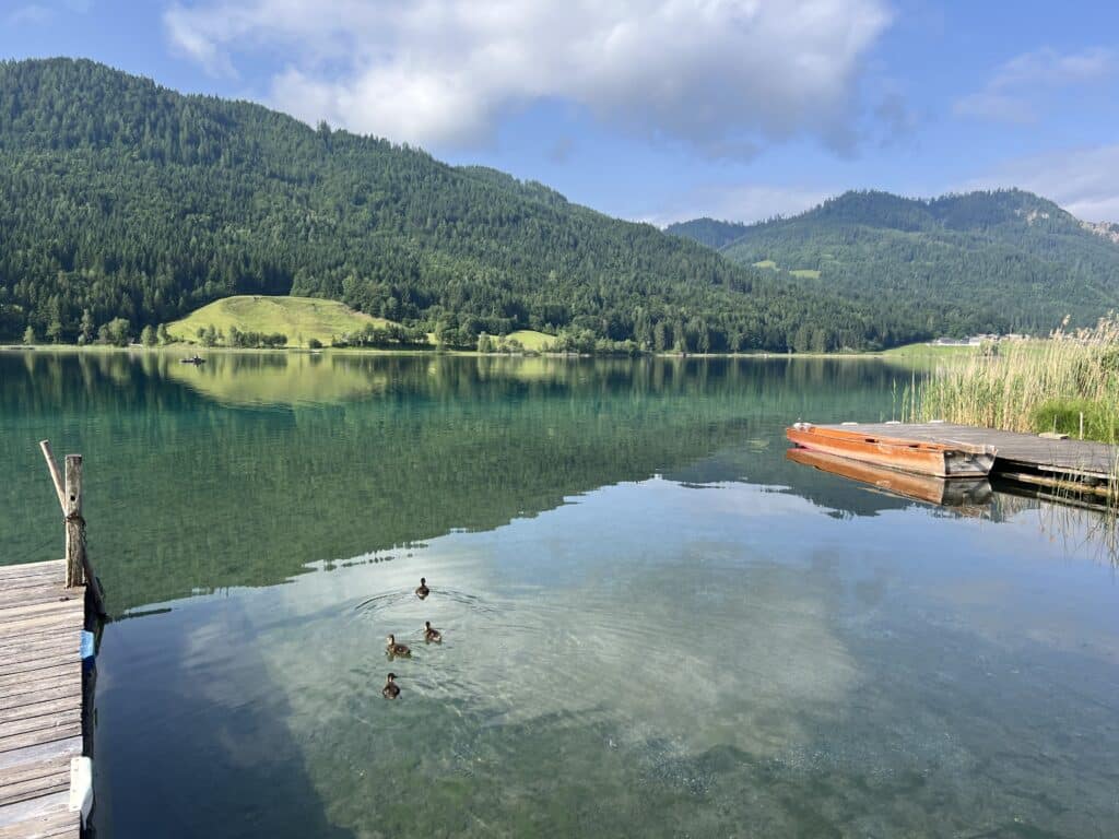 Der Sommer ist da