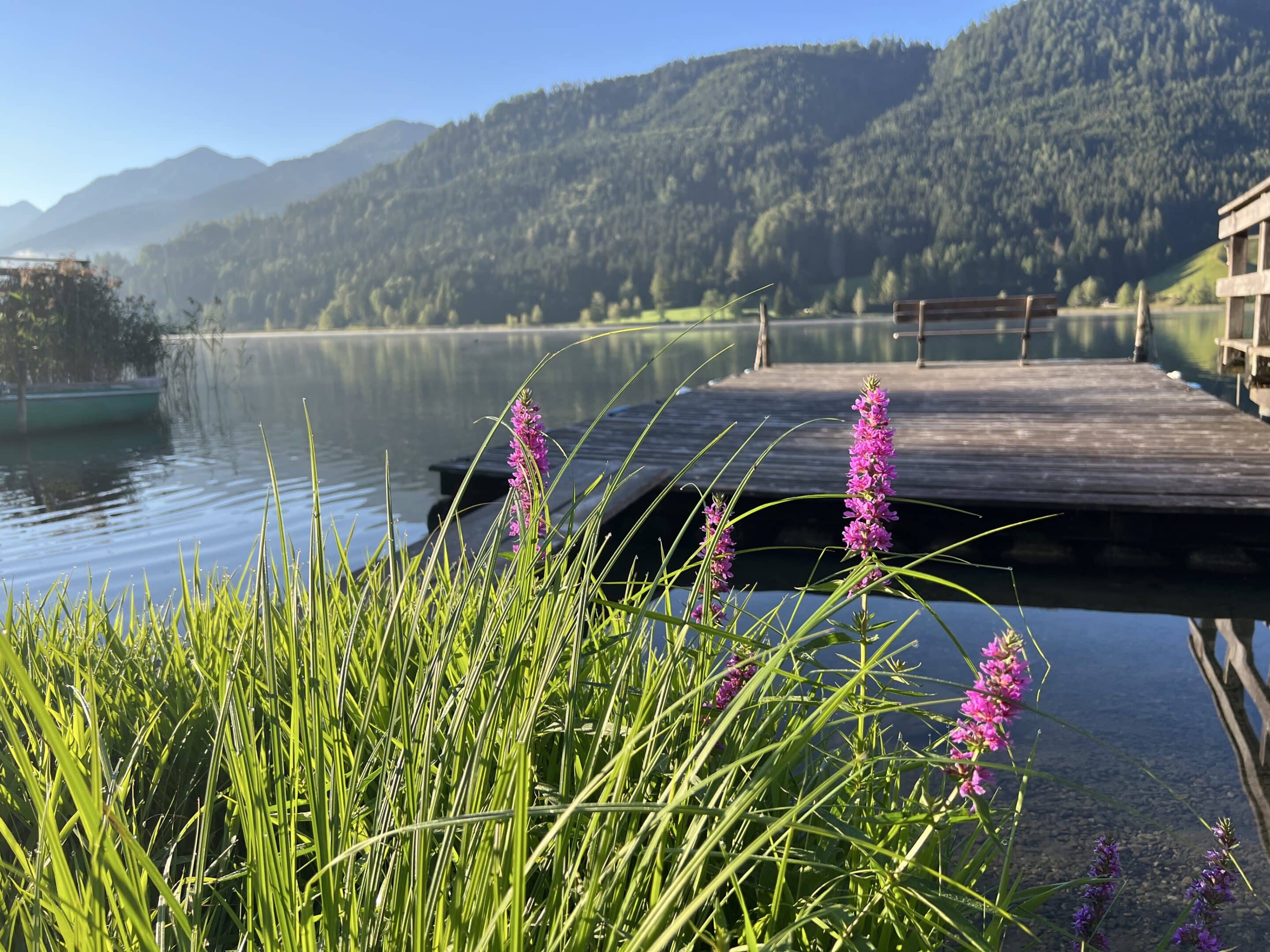 Herbst Ferienhof Hoffmann Weissensee