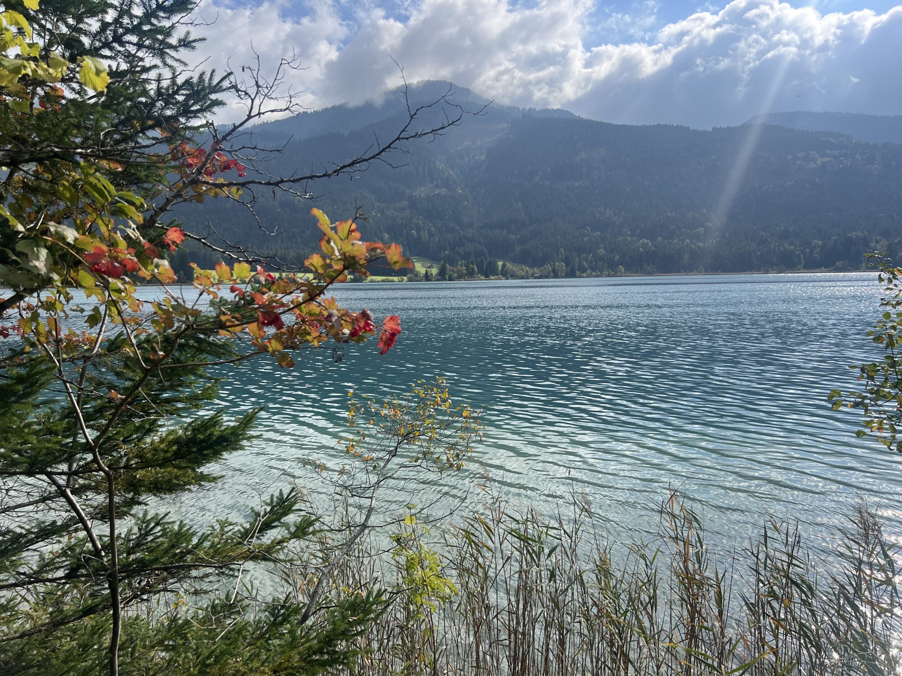 Herbst am Weissensee Ferienhof Hoffmann