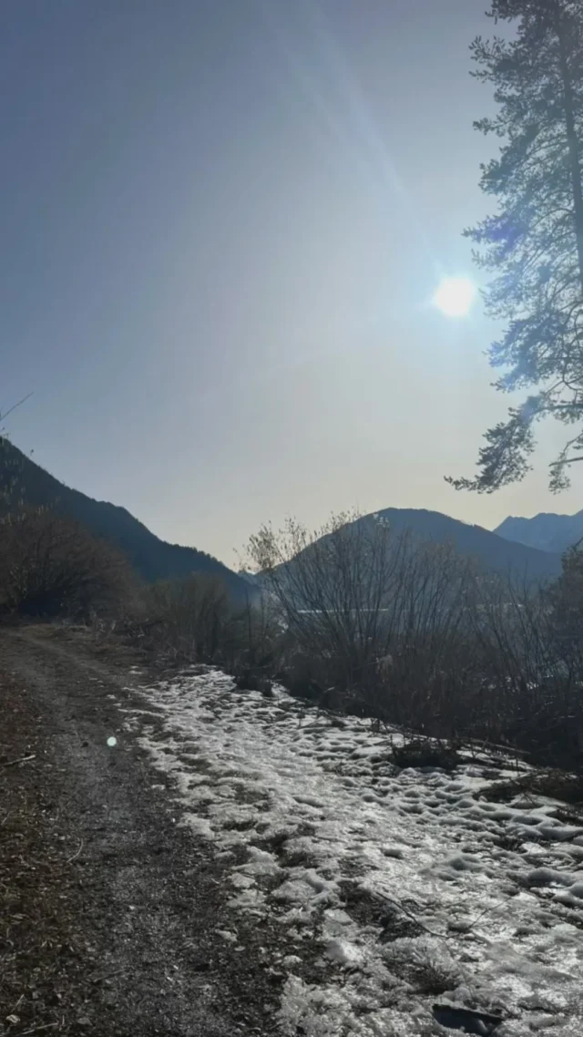 Spazieren am Weissensee 🚶‍♀️😊 ☀️🌲- genieß eine Stunde spazieren im Wald u lass dich von den traumhaften Ausblicken verzaubern! Wieviel Fotos schaffen es auf dein Handy?? Und das Beste… du kannst gleich hinter unserem Ferienhof starten.
Habt noch ein schönes Wochenende u auf bald im Ferienhof Hoffmann ☀️
#visitweissensee #ferienhofhoffmann #weissenseekärnten #urlaubamsee #direktamsee #sommer #urlaub #spazieren #seeblick #naturparkweissensee #auszeit #gehen #bisbald