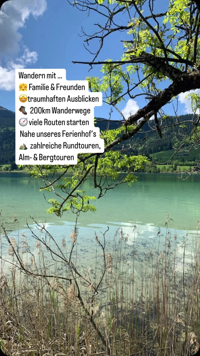 🥾Wandern am Weissensee 
⛰️ein Erlebnis aus Wasser, Wald & Bergen 💚💙💛
✅Im Frühsommer ideal
✅Zahlreiche markierte Wanderrouten warten auf euch 
✅Direkt von unserem Ferienhof kann’s los gehen 
⛴️Wer es gemütlichicher will, startet mit der Weißensee Schifffahrt zum nä Ausganspunkt - die Anlegestelle befindet sich neben unserem Ferienhof. 

🥾Was ist eure nächste Tour?

#wandern #wanderurlaub #wanderninösterreich #wanderlust #weissenseekärnten #visitweissensee #ferienhofhoffmann